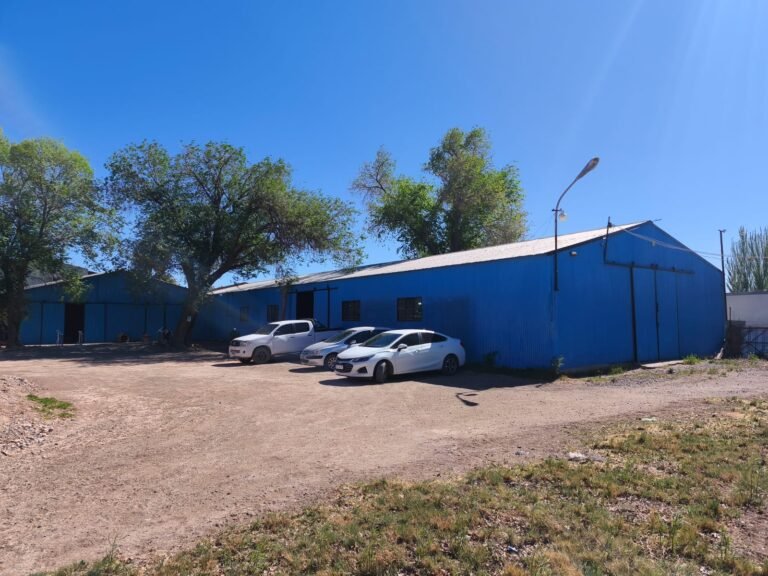 WhatsApp Image 2025-11-10 at 13.05.39 (1)